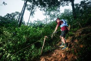 BIB: 
                            <button type="button" onclick="openModal(26203345)" class="btn btn-primary btn-sm float-right btn-popup" data-toggle="modal" data-target=".modal-high-quality">
                        <i class="fas fa-shopping-cart"></i> Add to Cart
                    </button>
                                            <button type="button" onclick="isThisMe(26203345, true)" class="btn btn-success btn-sm float-right btn-popup btn-isme hidden" data-toggle="tooltip" data-placement="bottom" title="นี่คือรูปของคุณใช่ไหม คลิกที่นี่เพื่อเอาเข้าอัลบั้ม">
                        <i class="fas fa-plus"></i> Add to album
                    </button>
                    <button type="button" onclick="isThisMe(26203345, false)" class="btn btn-warning btn-sm float-right btn-popup btn-isnotme hidden">
                        <i class="fas fa-ban"></i> Remove from album
                    </button>